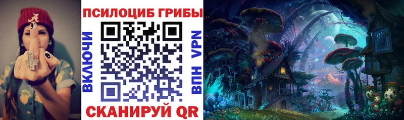 Галлюциногенные грибы прущие грибы  Камызяк 