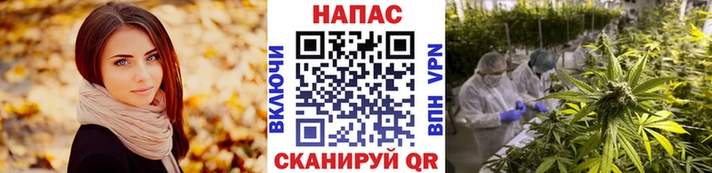 где найти наркотики  Камызяк  нарко площадка Telegram  Бошки марихуана SATIVA & INDICA 